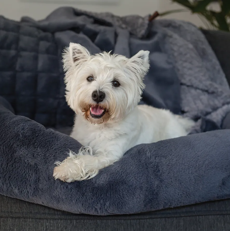 Reversible Snuggle Pet Blanket - Dusk
