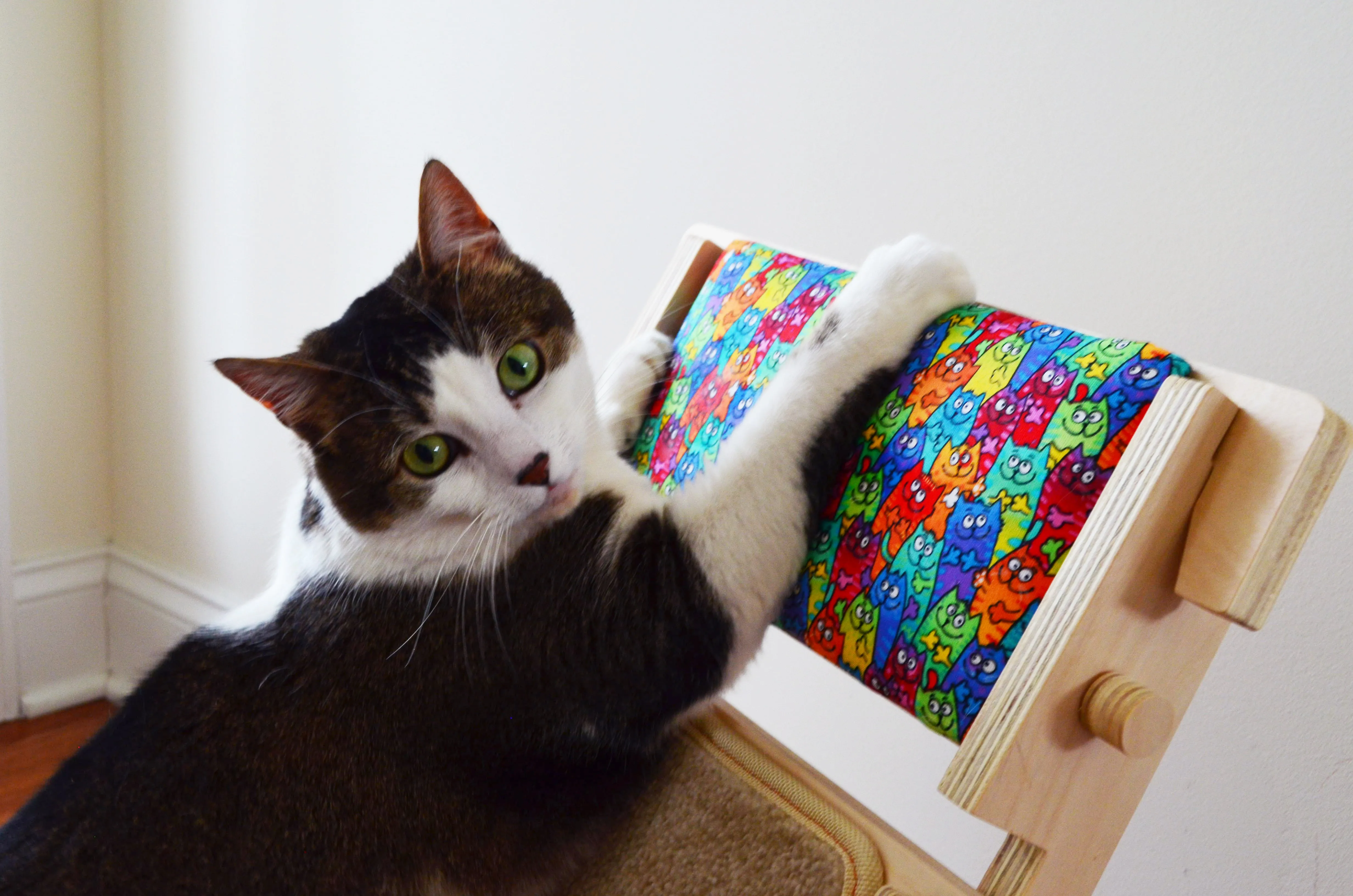 ScratchLadder: Colorful Cats Catnip Cushion, Beige Carpet, Felt Mice