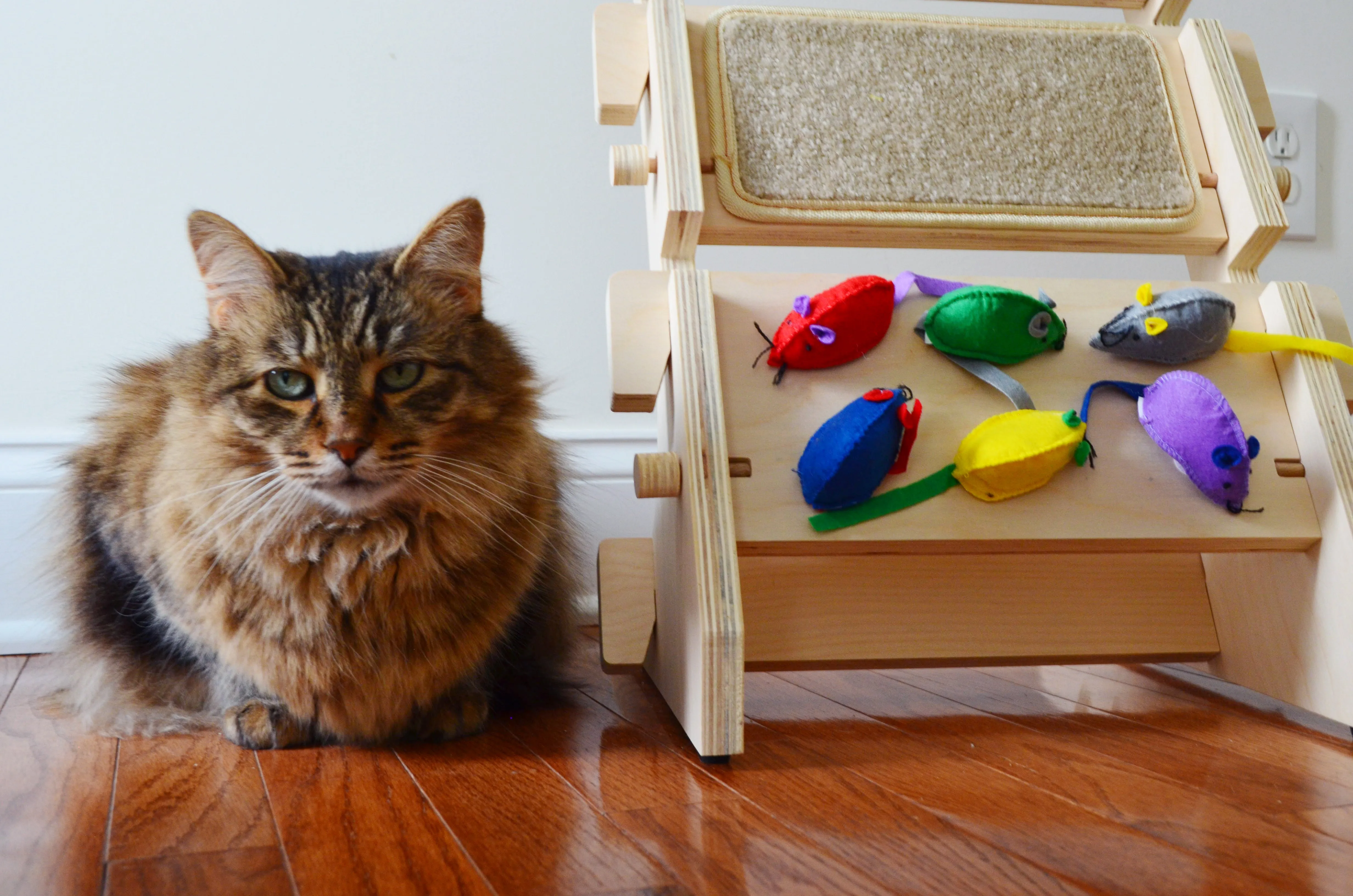 ScratchLadder: Colorful Cats Catnip Cushion, Beige Carpet, Felt Mice