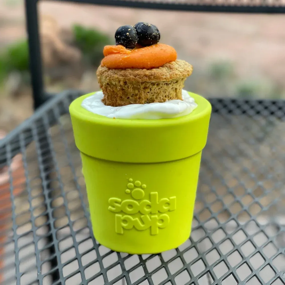 Sodapup Flower Pot Durable Treat Dispenser