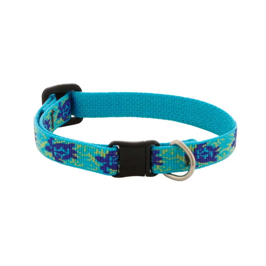 Turtle Reef Breakaway Collar