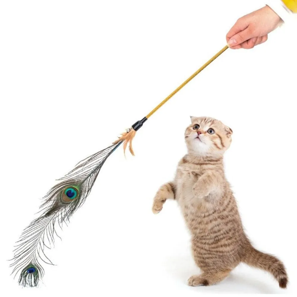 Wire Feather Teaser Wand